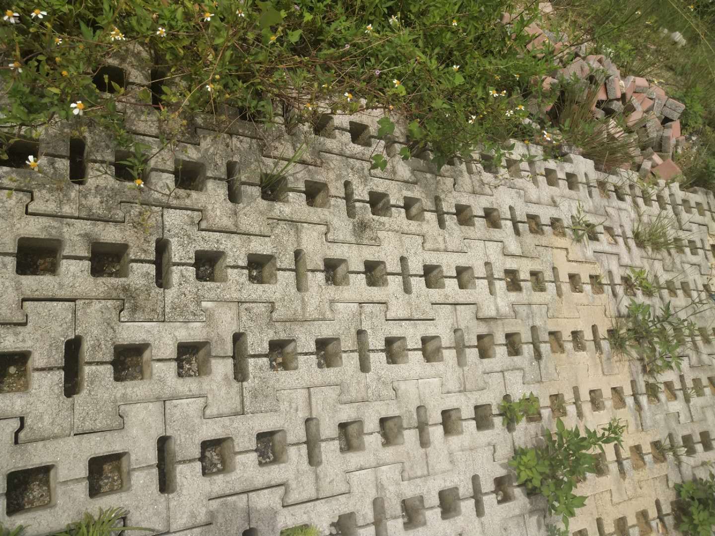 網格生態框